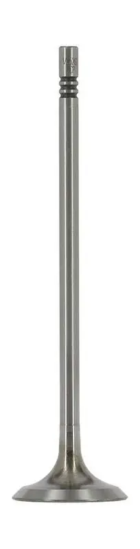 Ieplūdes vārsts AE V95262