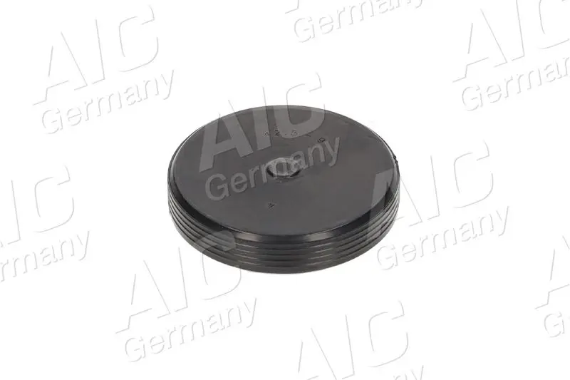 Plug, rocker arm shaft mounting bore