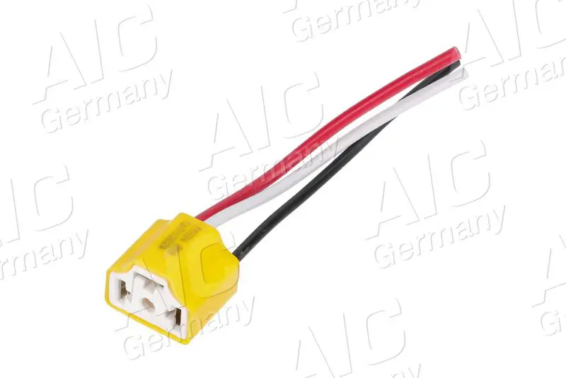 Plug AIC 55894