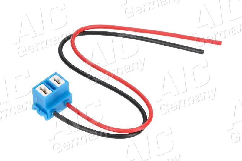 Plug AIC 55895