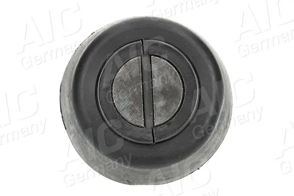Door Check AIC 57881