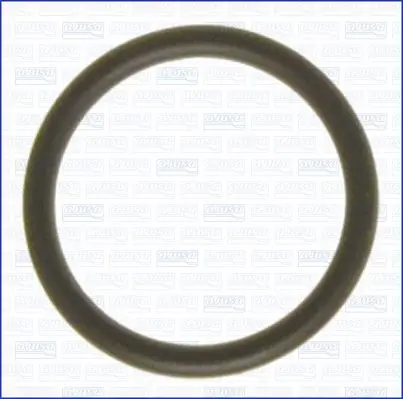Blīve, Termostata korpuss AJUSA 16505500