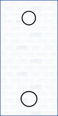 Blīvju komplekts, Ūdenssūknis AJUSA 77001900