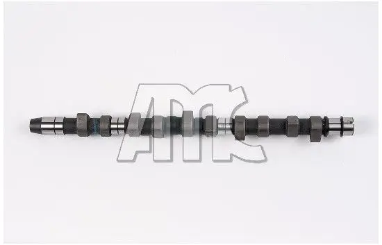 Sadales vārpsta AMC 647012