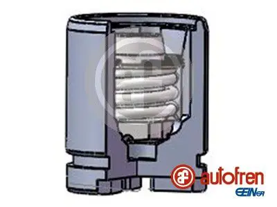 Piston, brake caliper Autofren Seinsa D025121K