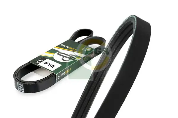 V-Ribbed Belt BGA 3PK576E