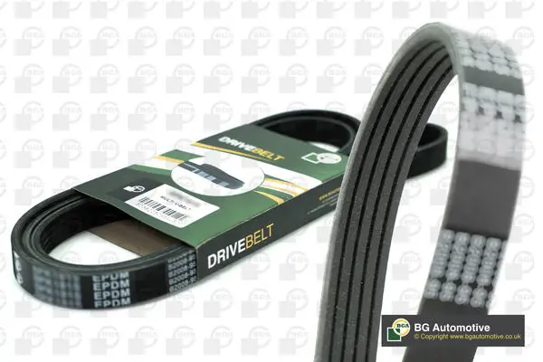 V-Ribbed Belt BGA 5PK1750