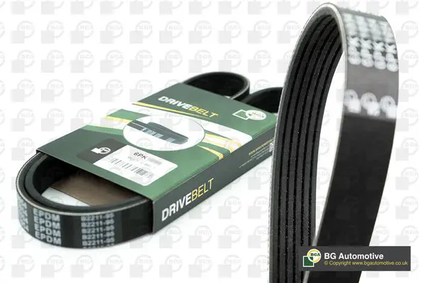 V-Ribbed Belt BGA 6PK1029E