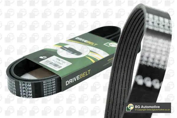 V-Ribbed Belt BGA 7PK1104