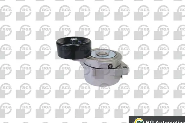 Tensioner Lever, V-ribbed belt BGA DC2503