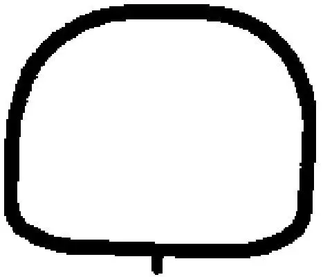 Blīve, Ieplūdes kolektors BGA MG7554