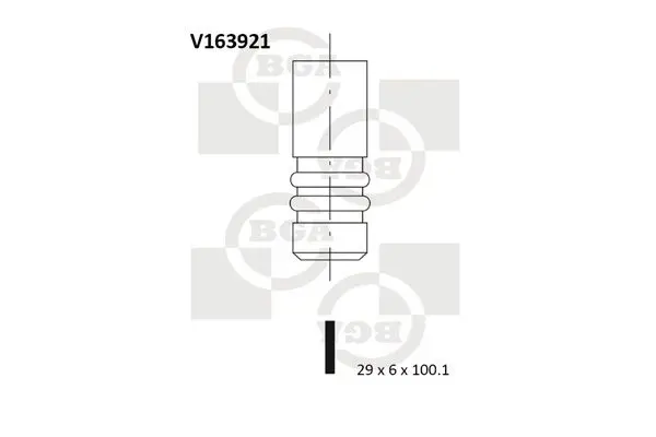 Izplūdes vārsts BGA V163921