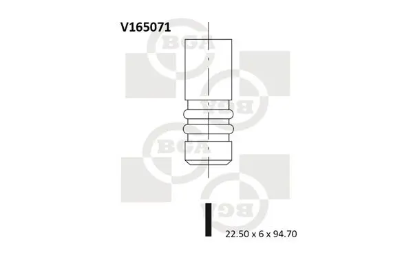 Izplūdes vārsts BGA V165071