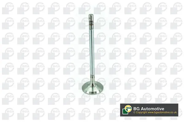 Intake Valve BGA V200074