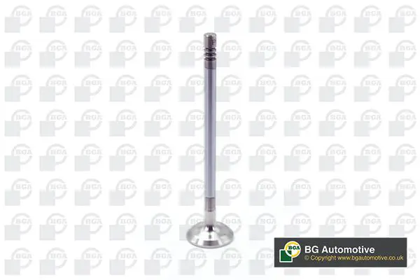 Exhaust Valve BGA V203633