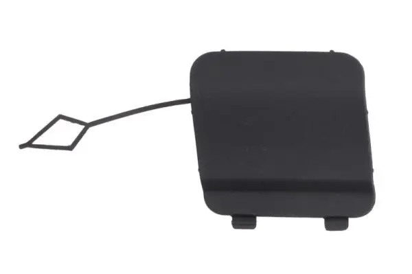 Bumper Cover, trailer hitch BLIC 5513003549920P