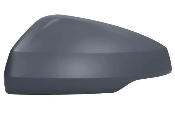 Cover, exterior mirror BLIC 6103011984312P