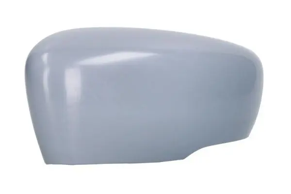 Cover, exterior mirror BLIC 6103162104310P