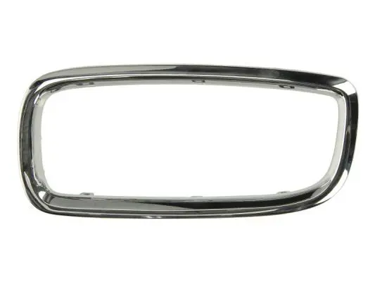 Frame, radiator grille BLIC 6502070075997P