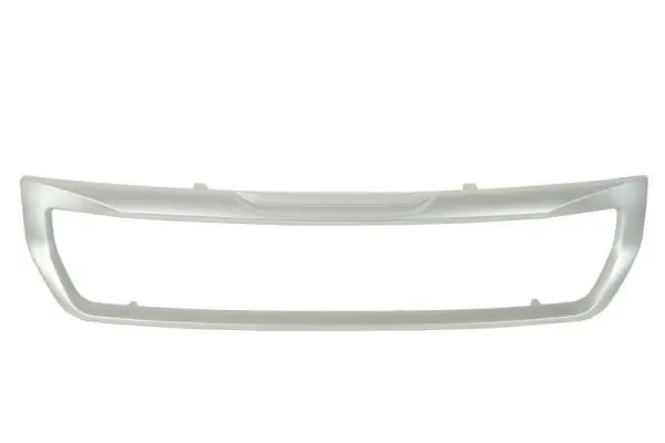 Trim/Protection Strip, radiator grille BLIC 6502070554910P