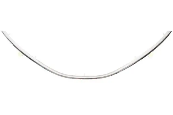Trim/protective strip, radiator grille BLIC 6502071303995P