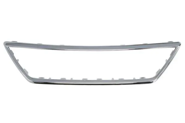 Trim/Protection Strip, radiator grille BLIC 6502076619990P