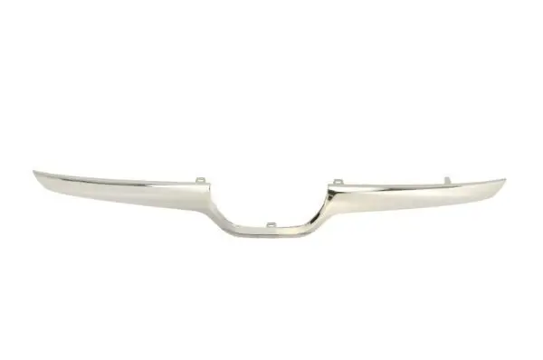 Trim/protective strip, radiator grille BLIC 6502076735993P