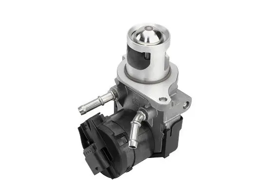 EGR Valve BorgWarner 710327D1