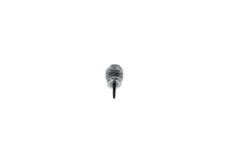 Aizdedzes slēdzis Bosch 0342311004