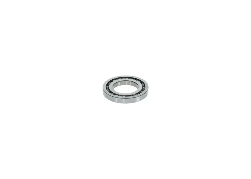 Gultnis Bosch 1460925001