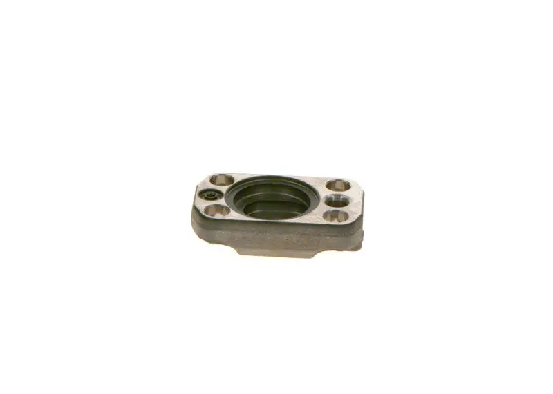 Cilindru galva Bosch F01M100221
