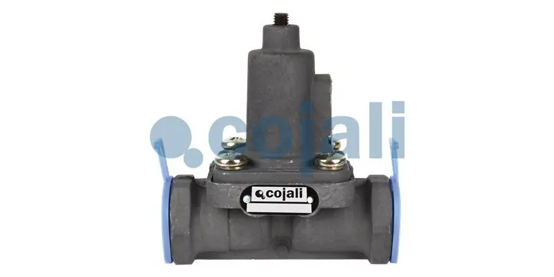 Pārplūdes vārsts COJALI 2206137
