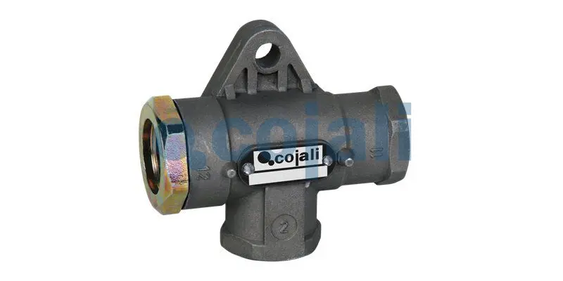 Daudzpozīciju vārsts COJALI 2207103