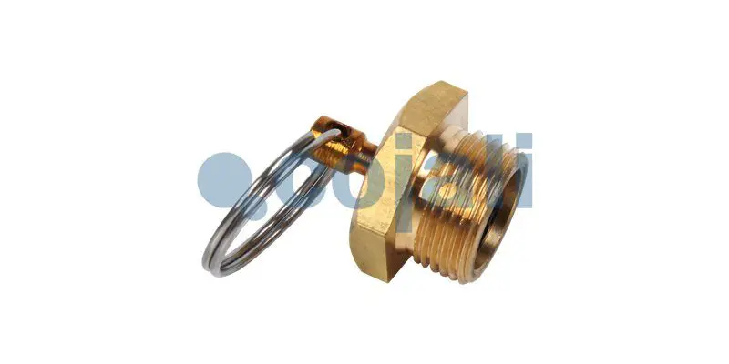 Water drain valve COJALI 2208400