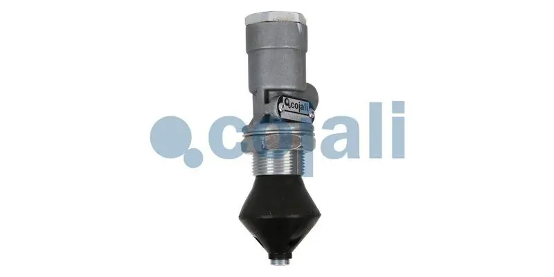 Multiport valve COJALI 2213201