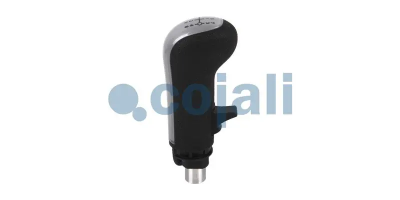 Gear Shift Lever Knob COJALI 2880187