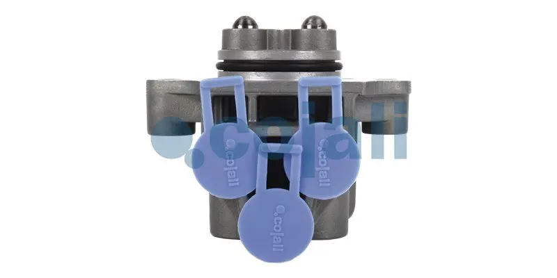Multiport Valve COJALI 2880196