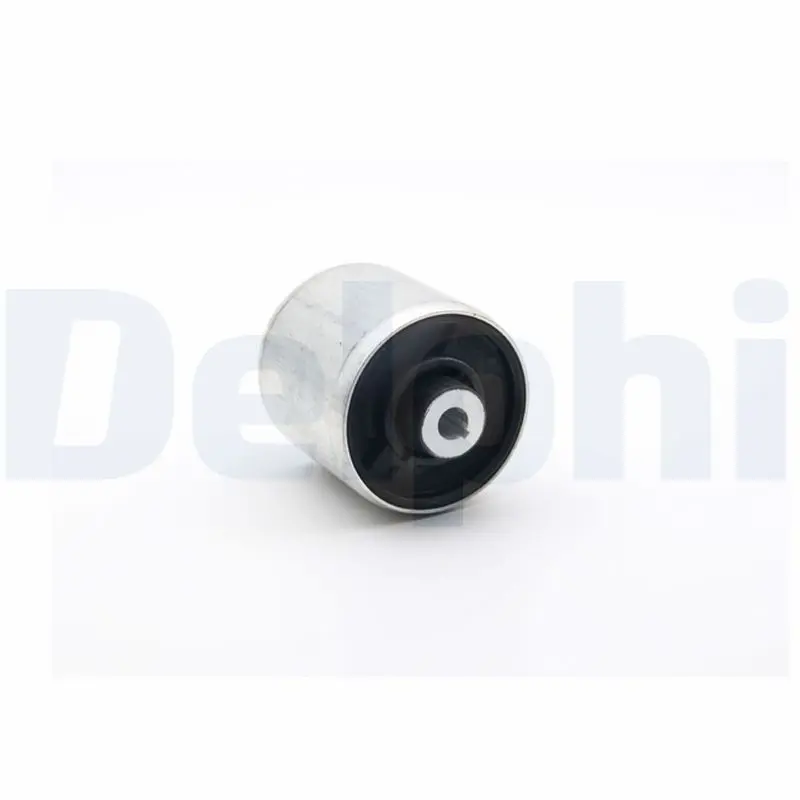 Mounting, control/trailing arm DELPHI TD2093W