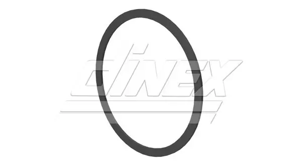 Blīve, Izplūdes caurule DINEX 4IL002