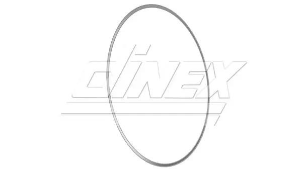 Blīvgredzens, Izplūdes caurule DINEX 5AL006