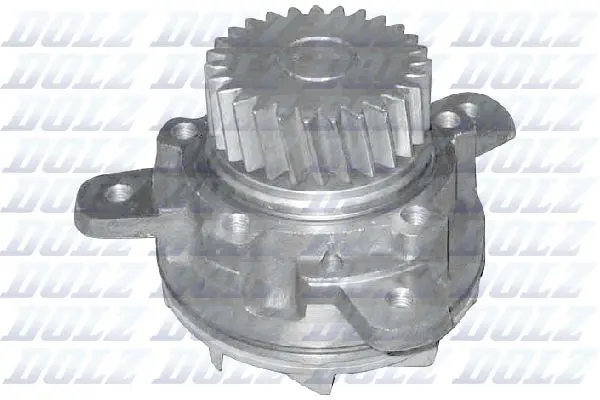 Ūdenssūknis DOLZ V207