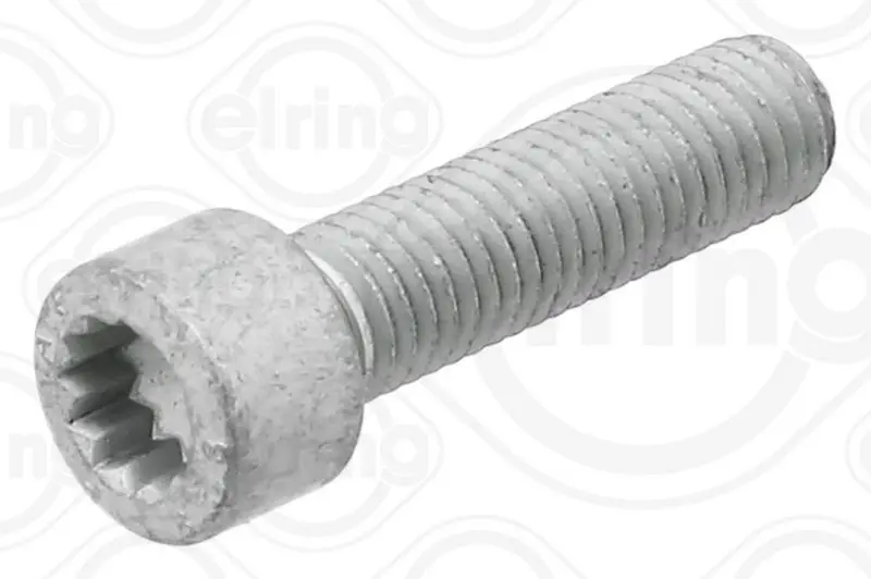 Skrūve Elring 434400