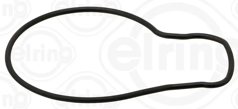 Blīve, Ūdenssūknis Elring 468660