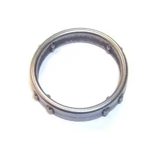 Blīve, Termostata korpuss Elring 687690
