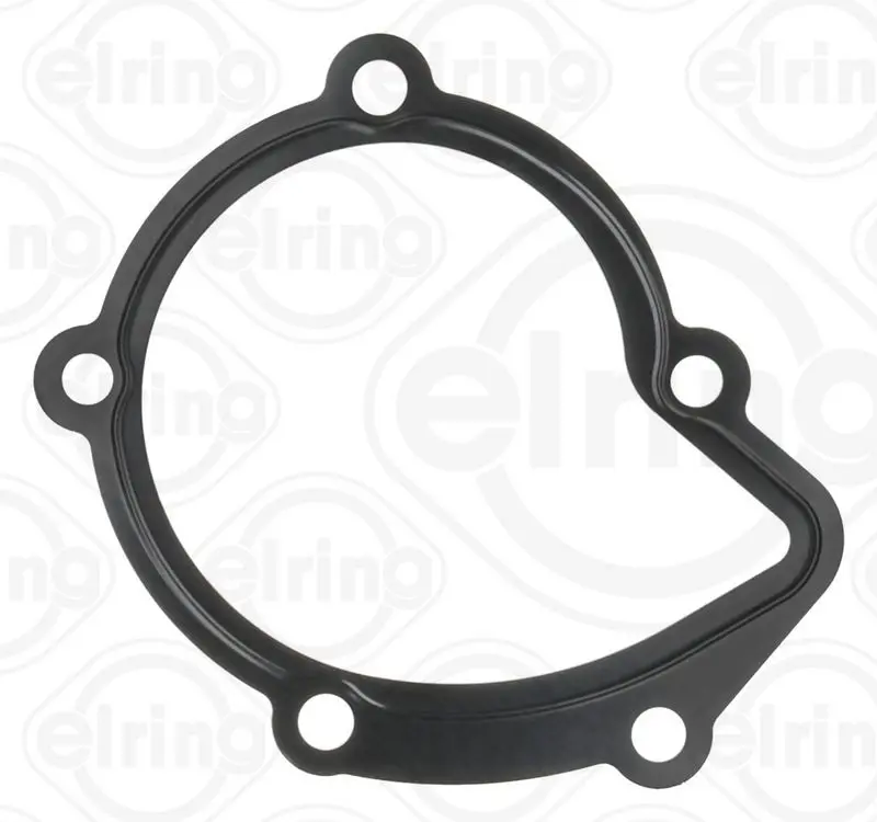 Blīve, Ūdenssūknis Elring 754044