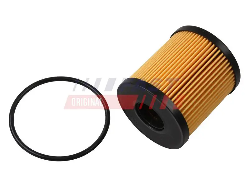 Oil filter FAST FT38074