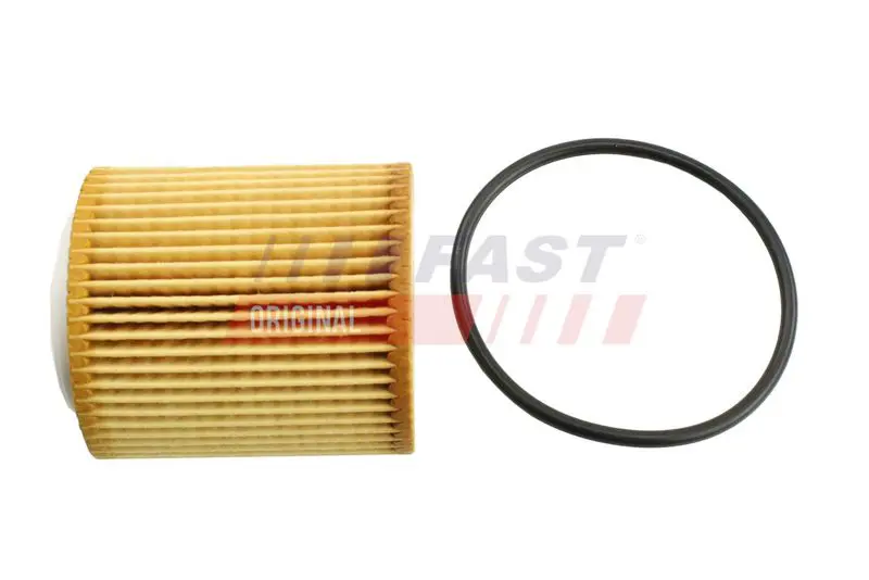 Eļļas filtrs FAST FT38100