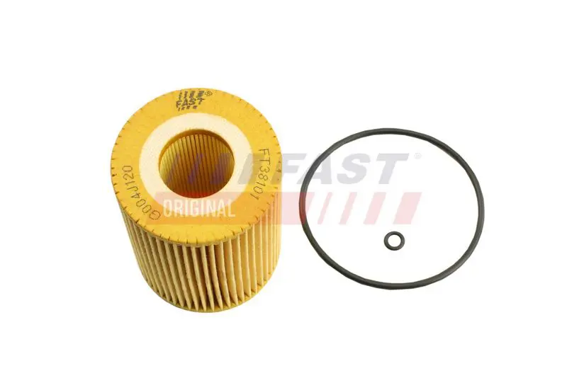 Eļļas filtrs FAST FT38101