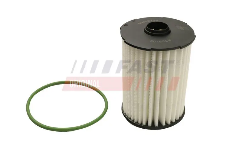 Eļļas filtrs FAST FT38103