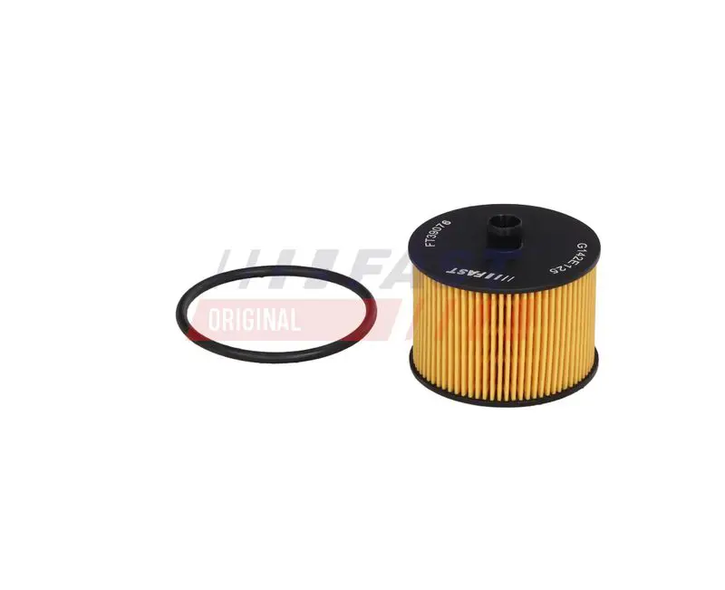 Degvielas filtrs FAST FT39076